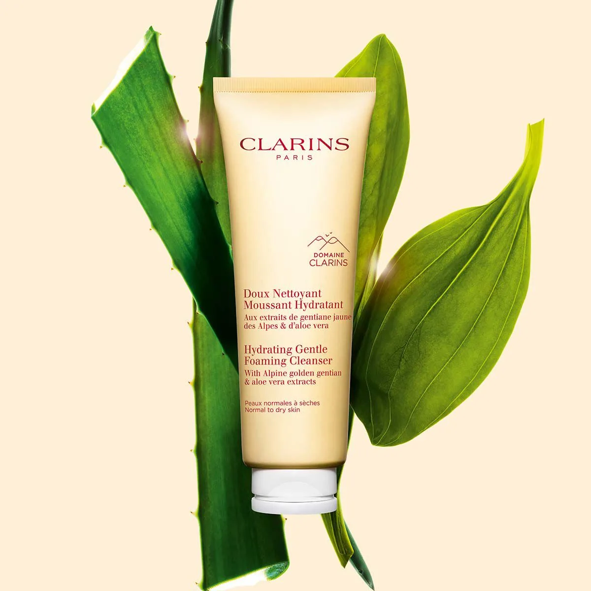 Clarins Gentle Foaming Cleanser squeeze tube for normal to dry skin